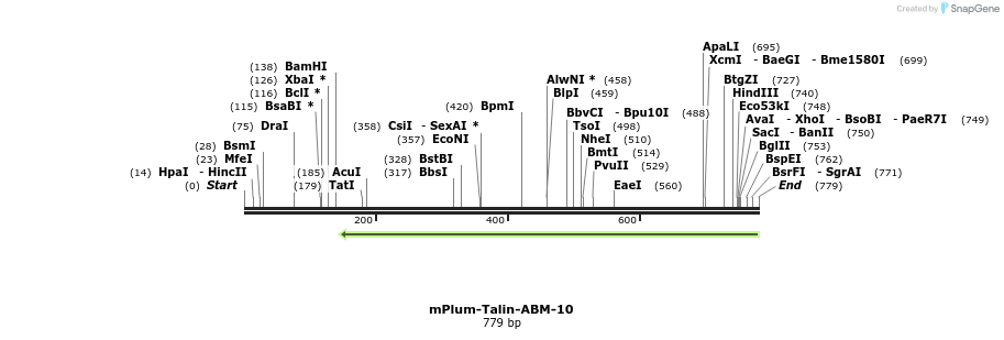 137469_map