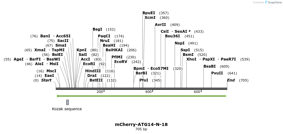 137471_map