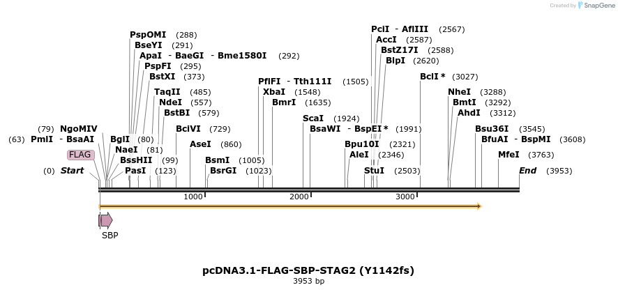 137472_map