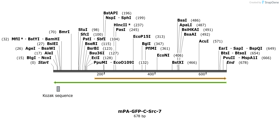 137473_map