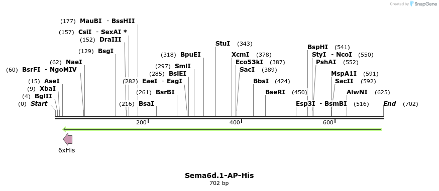 137486_map