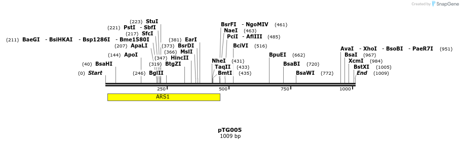 137492_map