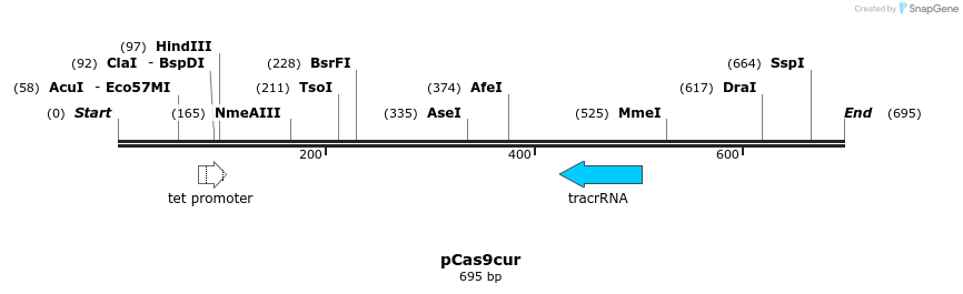 137496_map