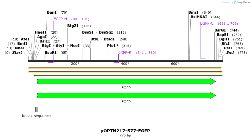 137499_map