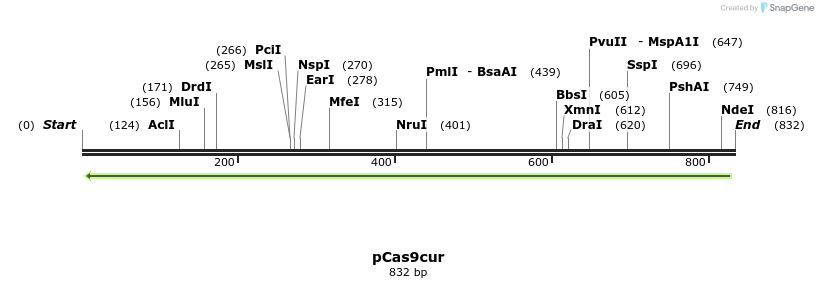 137500_map
