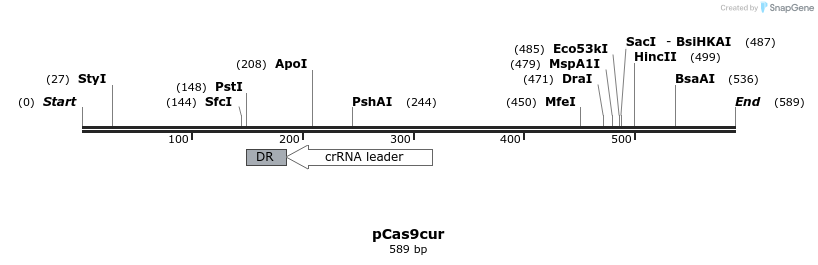137504_map