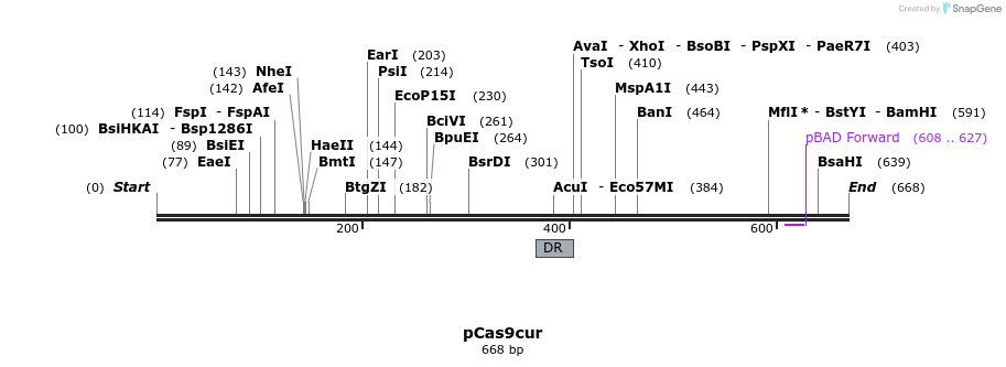 137509_map