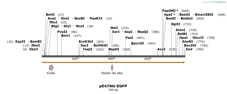 137510_map