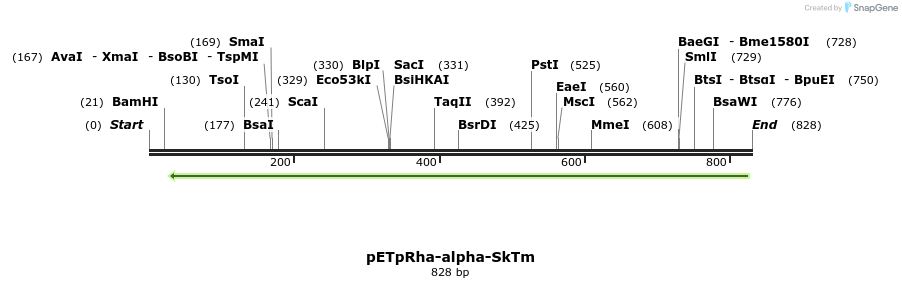 137513_map