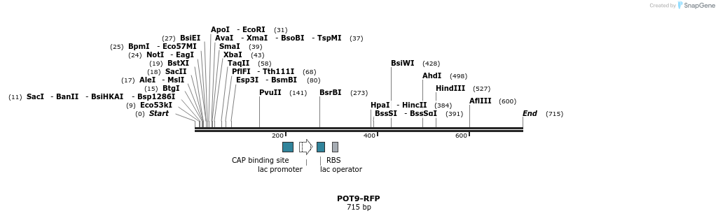 137514_map