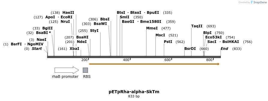 137515_map