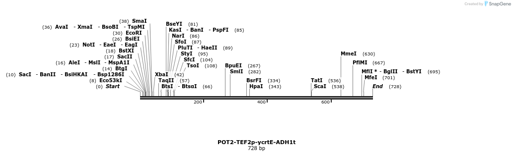 137530_map