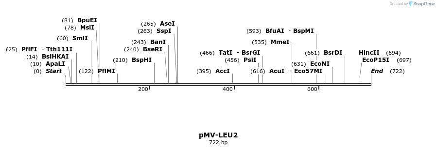 137533_map
