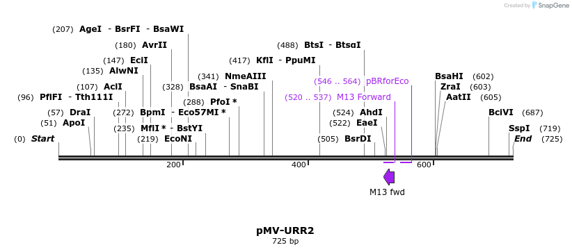 137534_map
