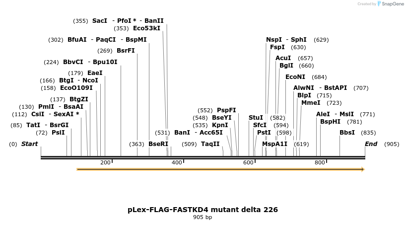 137537_map