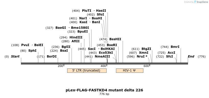 137539_map