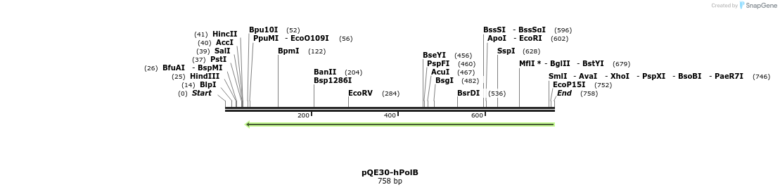 137549_map