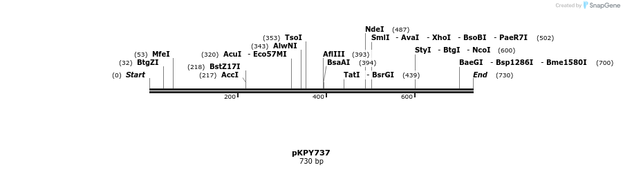 137552_map