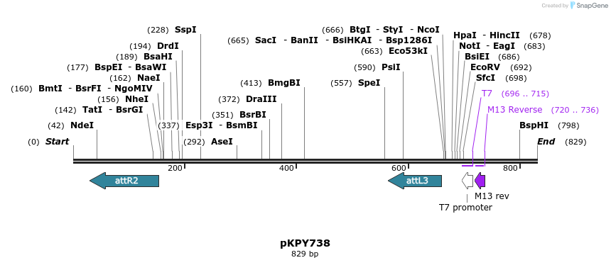 137553_map