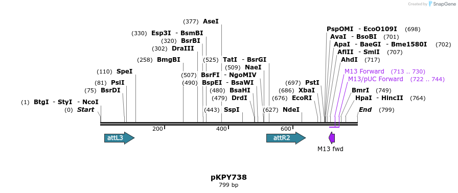 137554_map