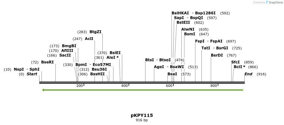 137556_map
