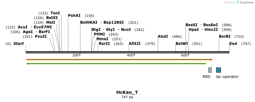 137560_map