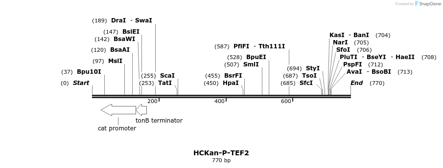 137563_map