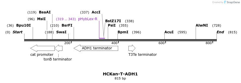 137565_map