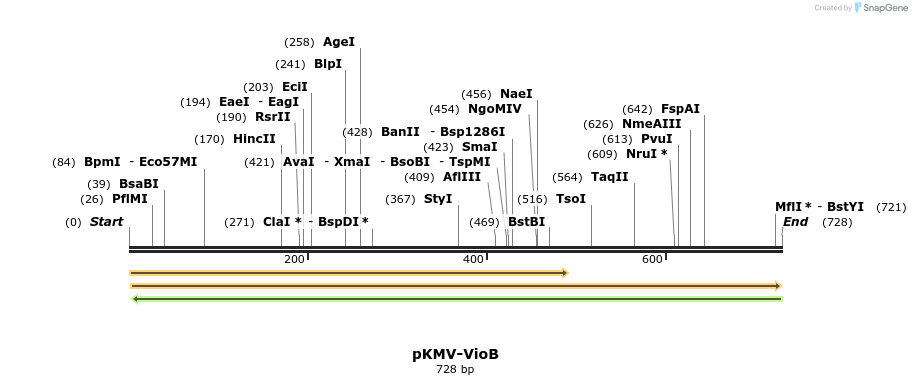 137566_map