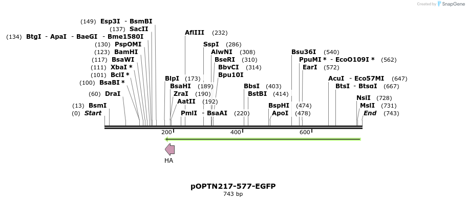 137567_map