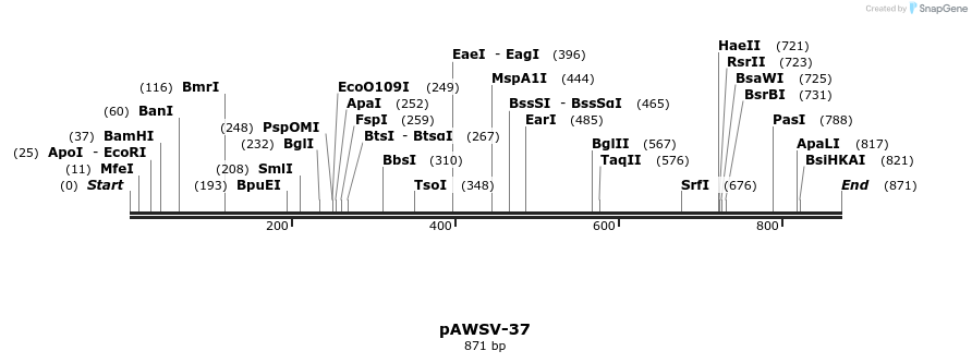 137568_map