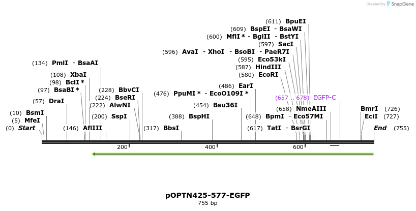 137569_map