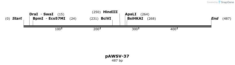 137570_map