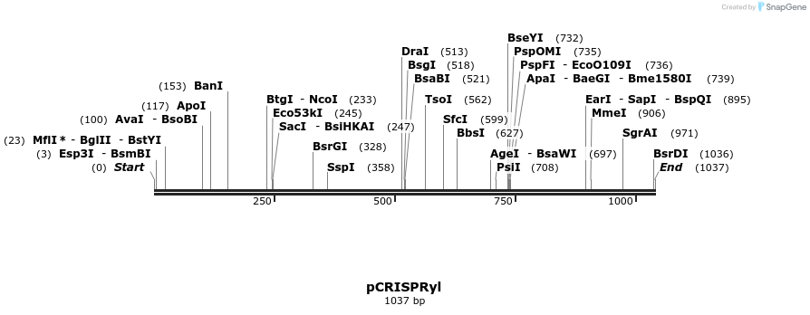 137571_map