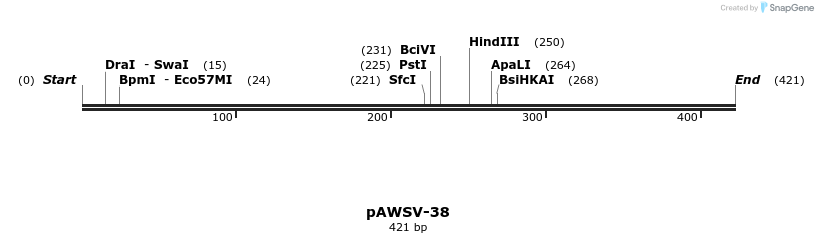 137574_map