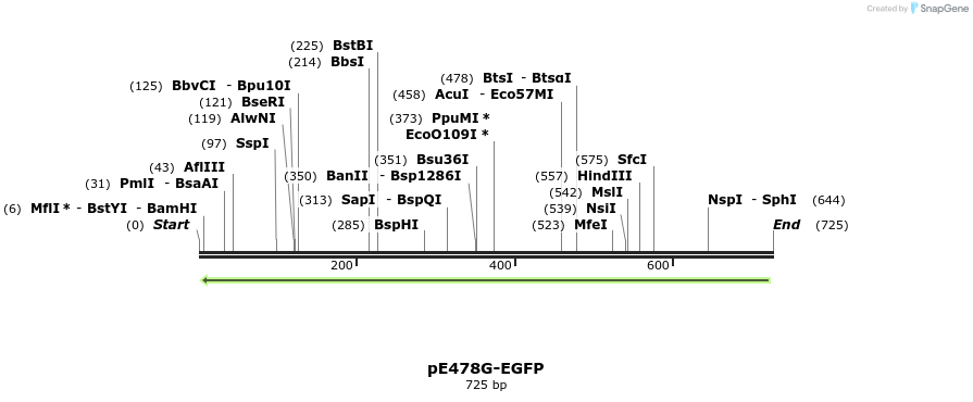 137576_map