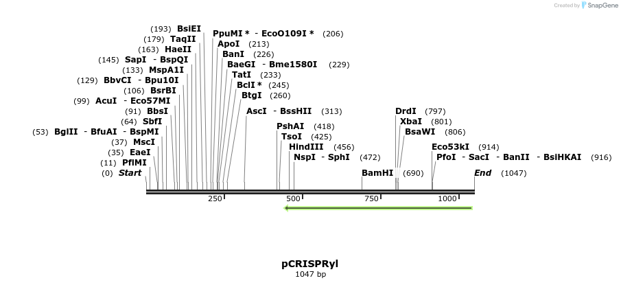 137577_map