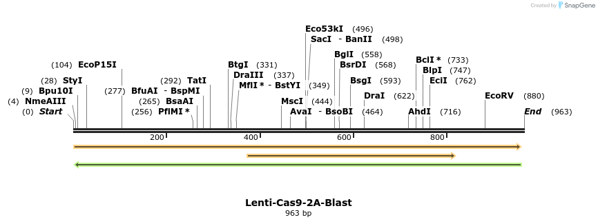 137583_map