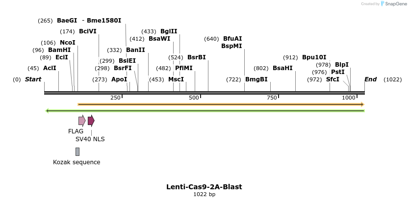 137586_map