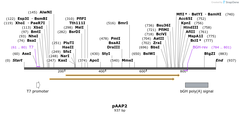 137587_map