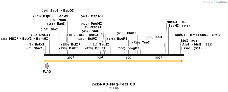 137593_map