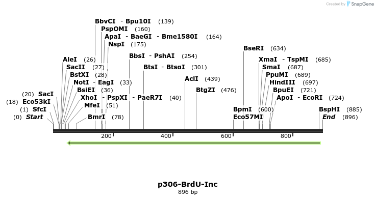 137598_map
