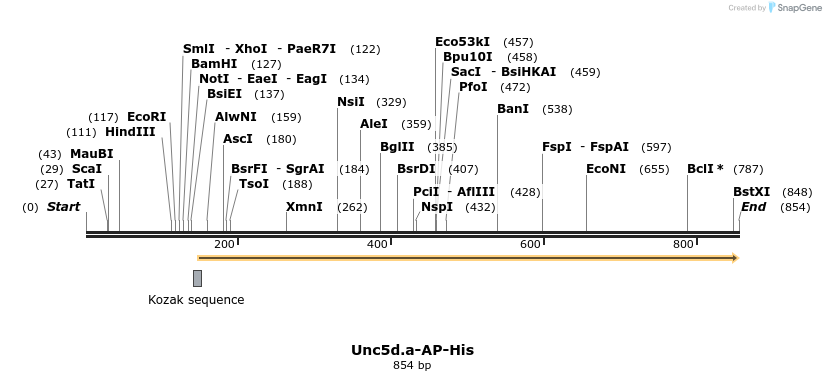 137605_map