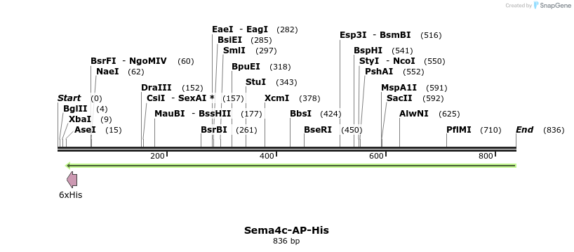 137608_map