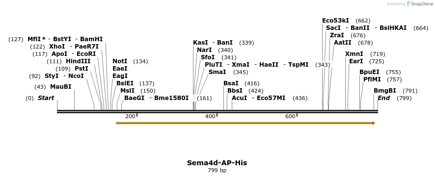 137609_map