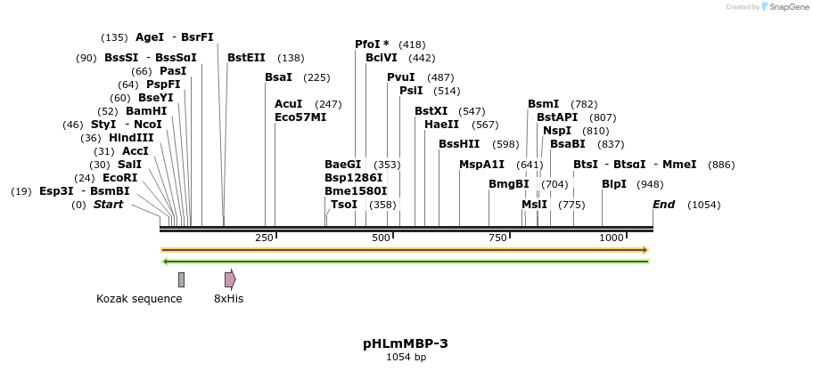 137616_map