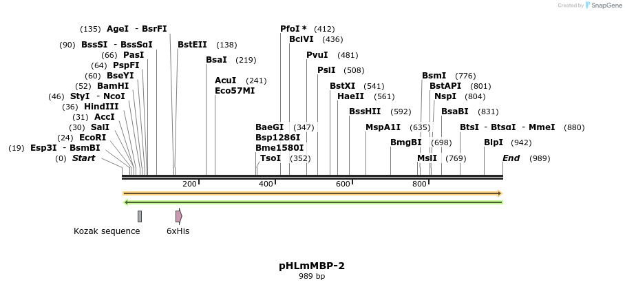 137620_map