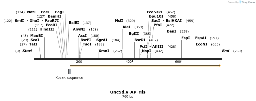 137622_map