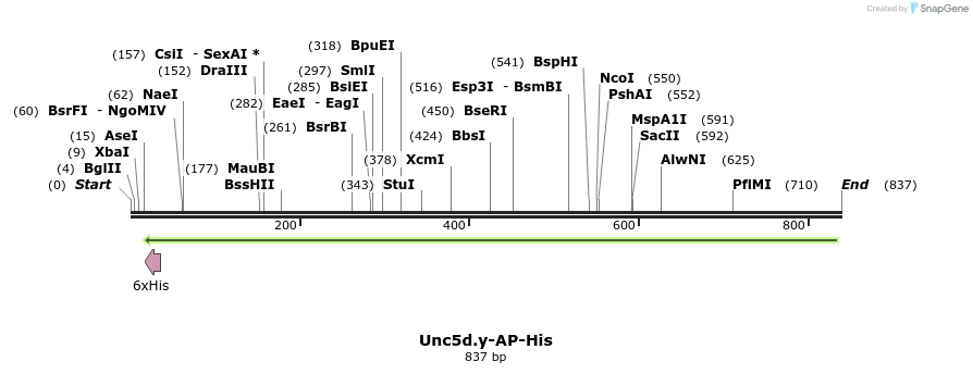137623_map