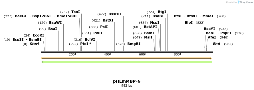 137624_map